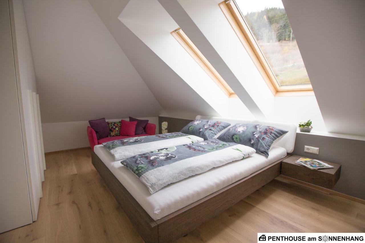 Penthouse Am Sonnenhang Mit Exklusiver Ausstattung Schladming Zewnętrze zdjęcie